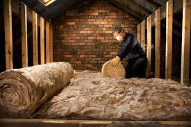 Best Basement Insulation  in Leon Valley, TX