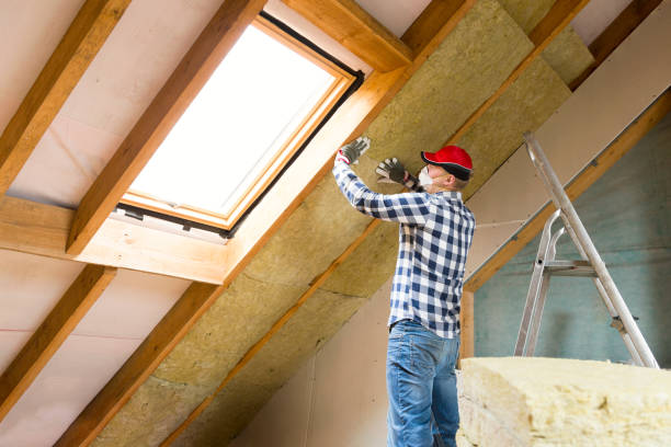 Best Attic Insulation Installation  in Leon Valley, TX